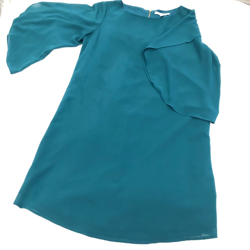 Naked Zebra Jade Green Butterfly Sleeve dress